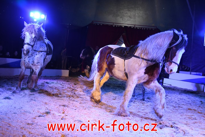 DSC_5185 (Kopírovat)