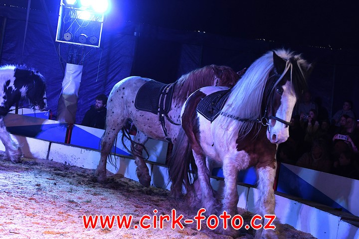 DSC_5191 (Kopírovat)