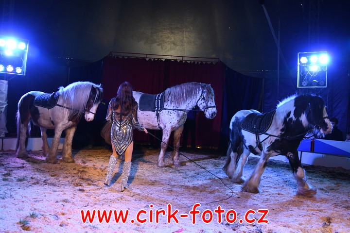 DSC_5203 (Kopírovat)