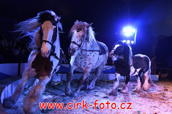 DSC_5209 (Kopírovat)