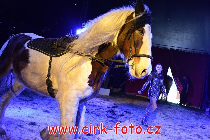 DSC_5213 (Kopírovat)