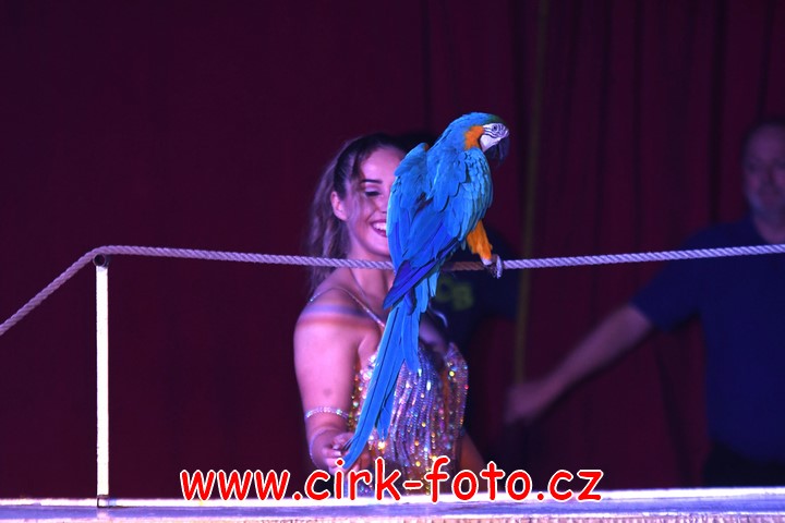 DSC_5232 (Kopírovat)