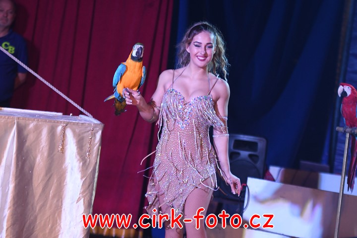 DSC_5233 (Kopírovat)