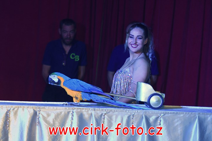 DSC_5248 (Kopírovat)