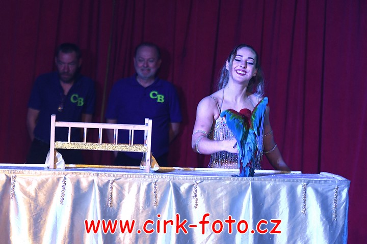 DSC_5258 (Kopírovat)