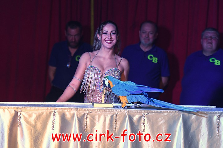 DSC_5260 (Kopírovat)