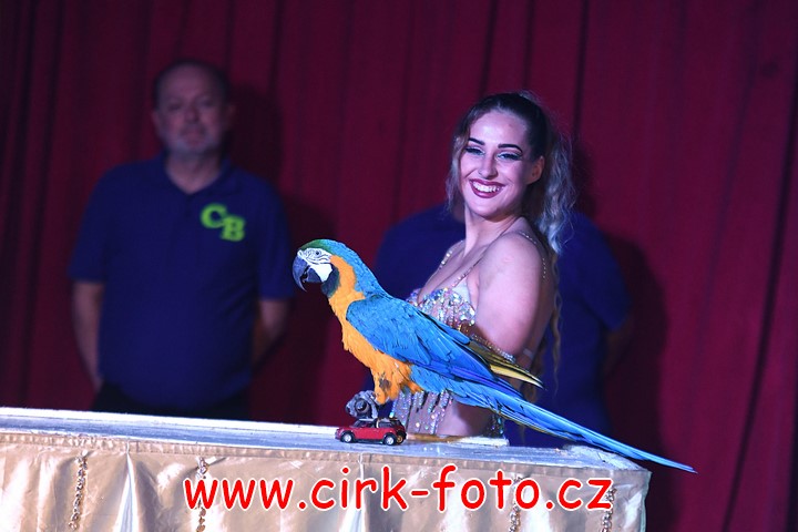 DSC_5264 (Kopírovat)