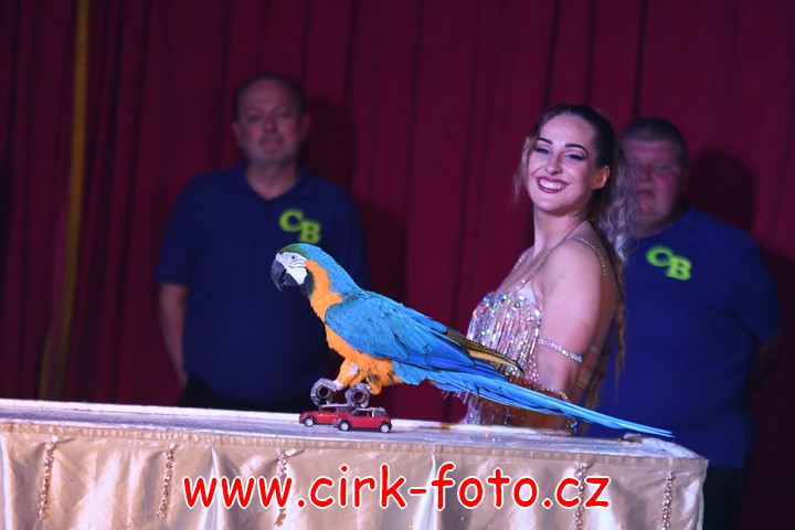 DSC_5265 (Kopírovat)