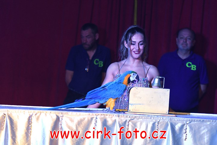 DSC_5270 (Kopírovat)