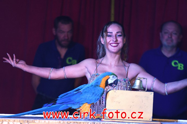 DSC_5271 (Kopírovat)