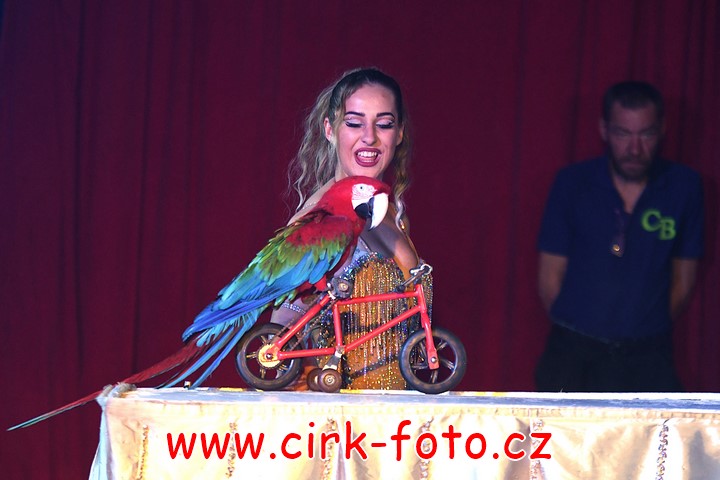 DSC_5277 (Kopírovat)