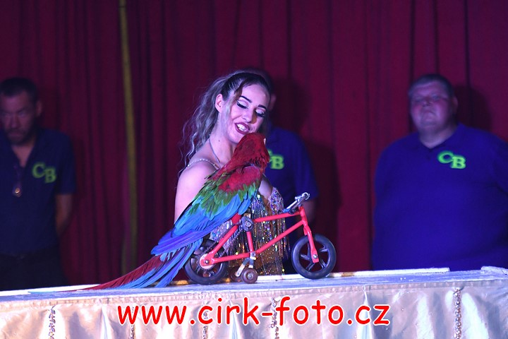 DSC_5281 (Kopírovat)