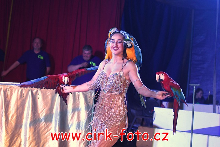 DSC_5299 (Kopírovat)