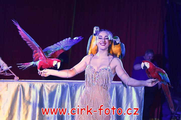 DSC_5300 (Kopírovat)