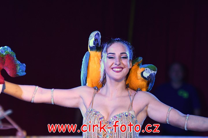 DSC_5302 (Kopírovat)