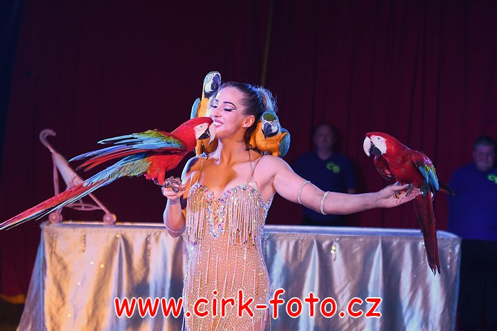 DSC_5303 (Kopírovat)