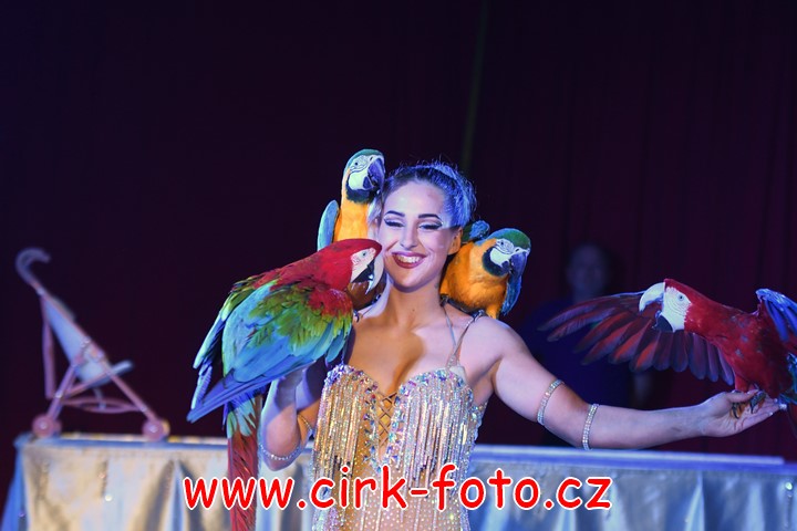 DSC_5304 (Kopírovat)