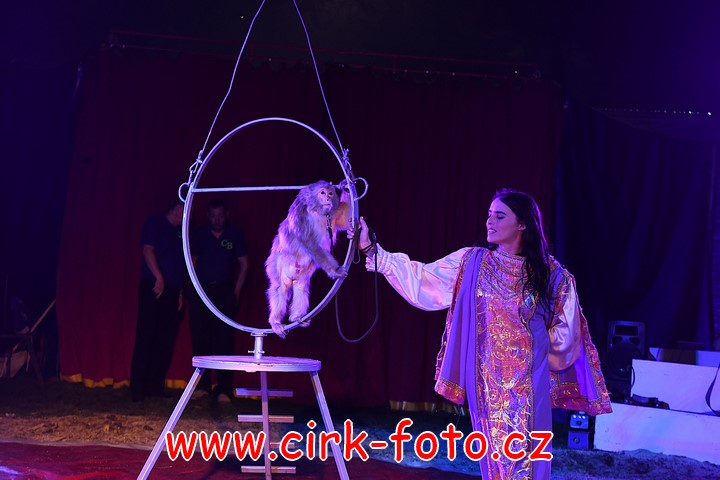 DSC_5370 (Kopírovat)