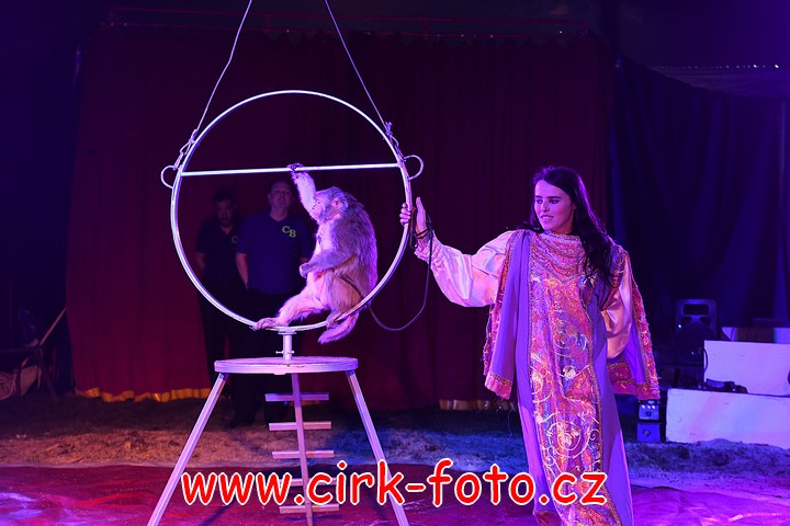 DSC_5373 (Kopírovat)