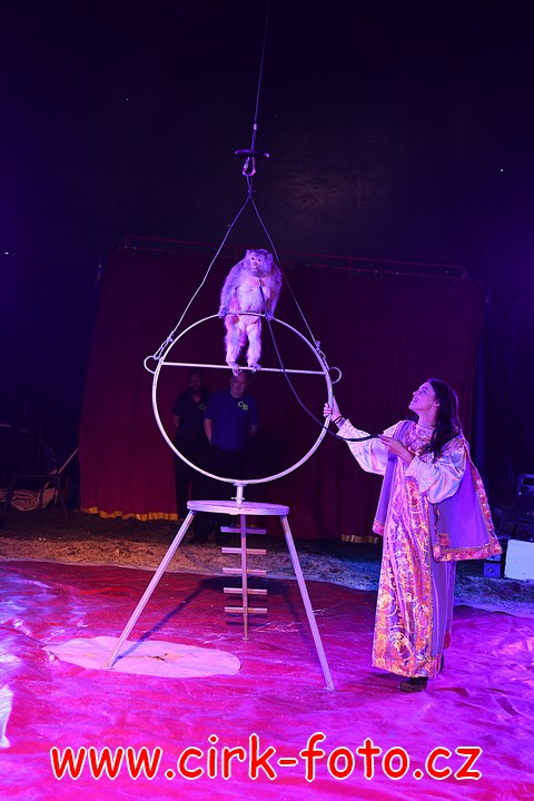 DSC_5374 (Kopírovat)