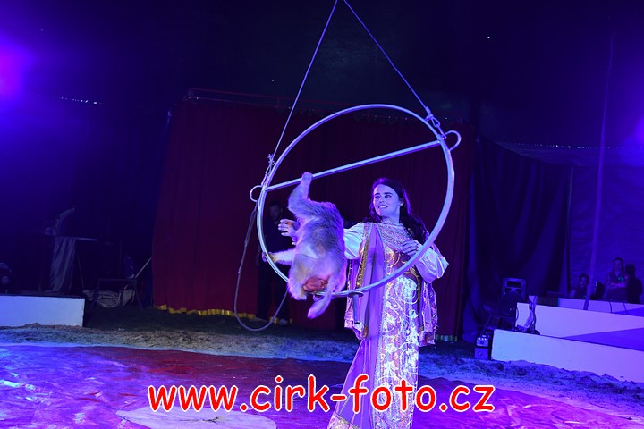 DSC_5378 (Kopírovat)