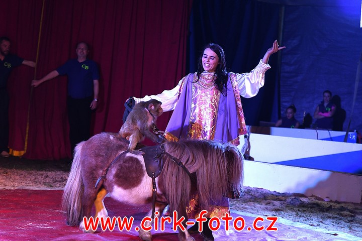 DSC_5385 (Kopírovat)