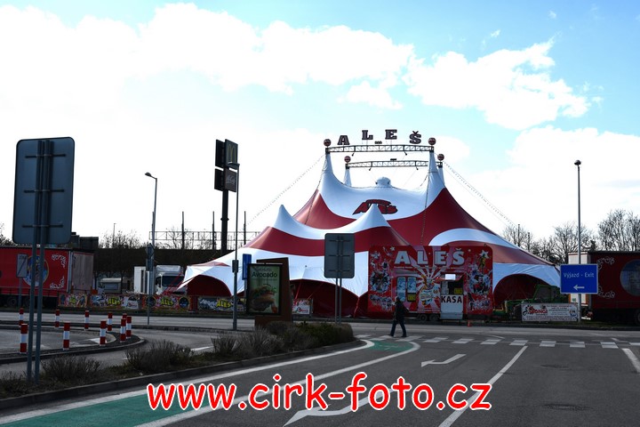 DSC_5456 (Kopírovat)