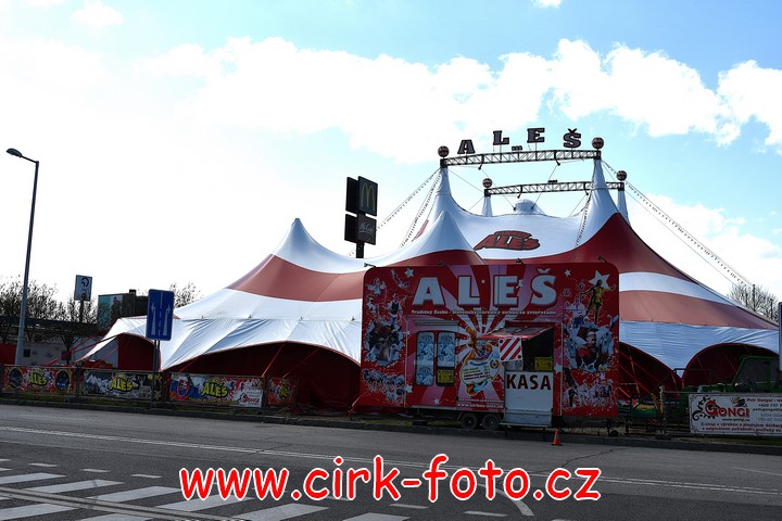 DSC_5462 (Kopírovat)