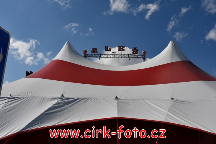 DSC_5465 (Kopírovat)