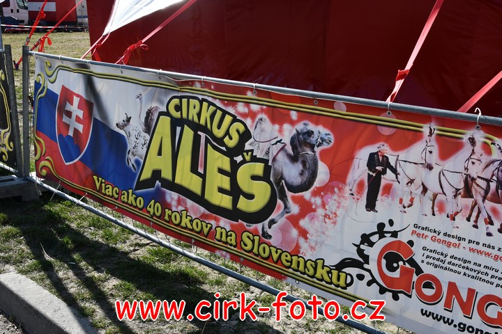 DSC_5466 (Kopírovat)