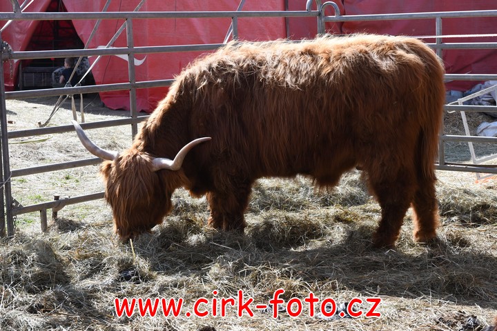 DSC_5477 (Kopírovat)