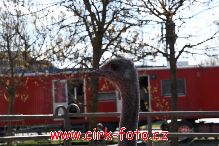 DSC_5480 (Kopírovat)