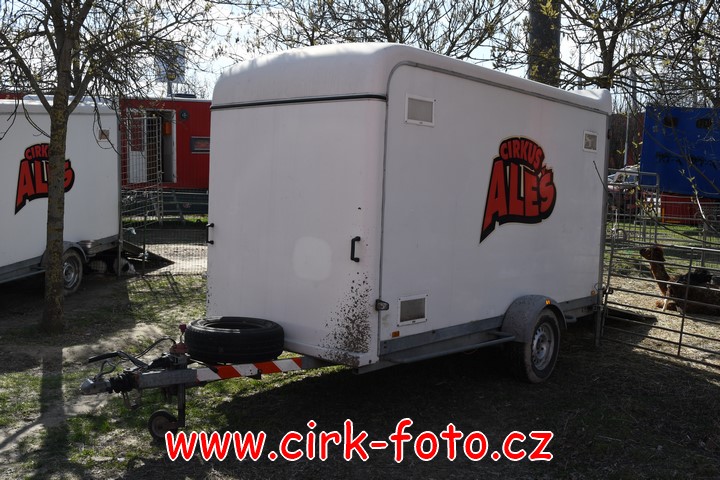 DSC_5485 (Kopírovat)