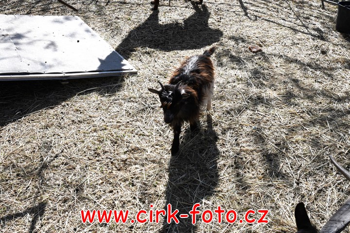 DSC_5487 (Kopírovat)