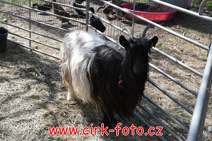 DSC_5488 (Kopírovat)