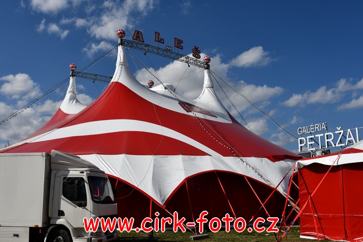 DSC_5500 (Kopírovat)