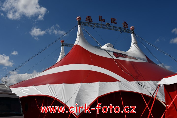 DSC_5501 (Kopírovat)