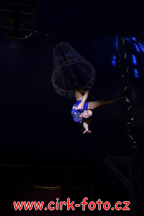 DSC_5612 (Kopírovat)