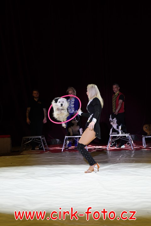 DSC_5683 (Kopírovat)