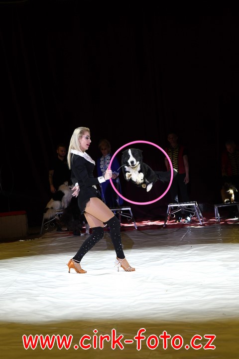 DSC_5689 (Kopírovat)