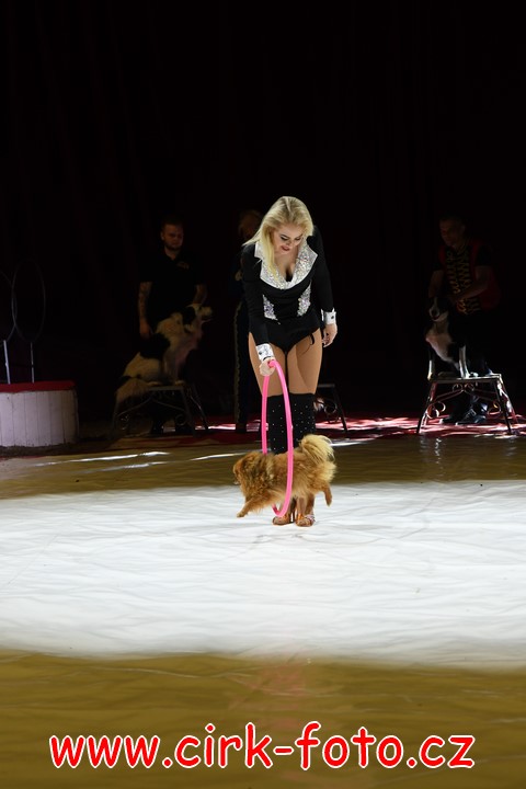 DSC_5691 (Kopírovat)