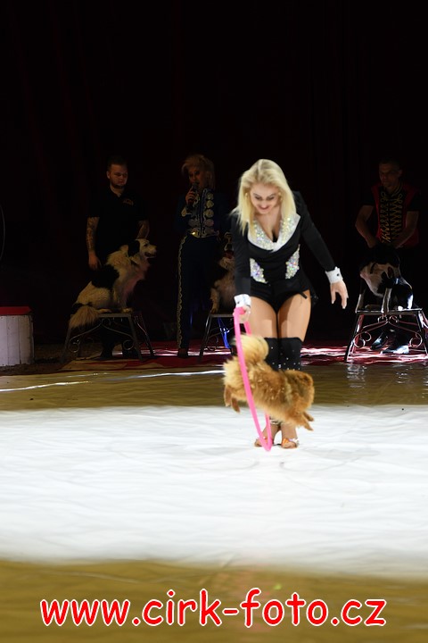 DSC_5692 (Kopírovat)