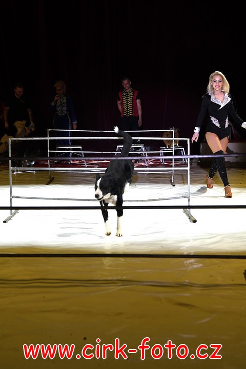 DSC_5700 (Kopírovat)