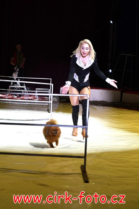 DSC_5702 (Kopírovat)