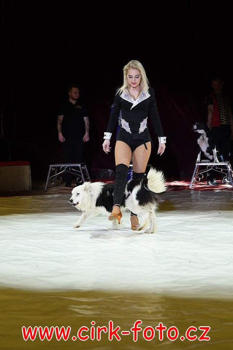 DSC_5708 (Kopírovat)