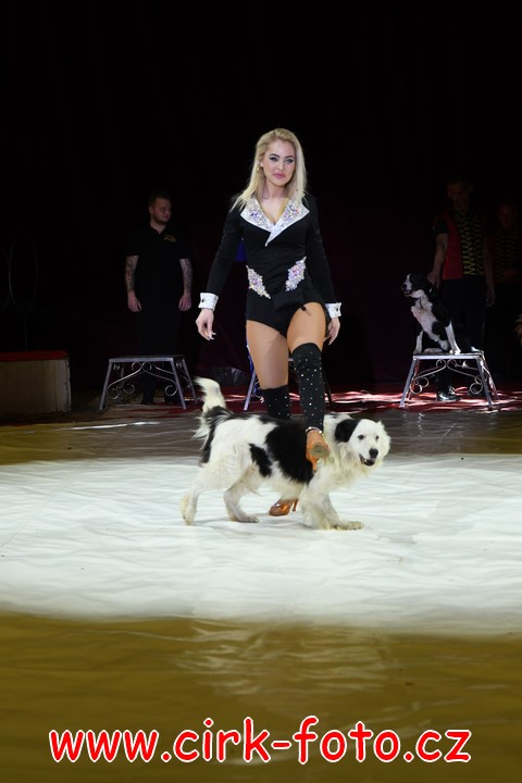 DSC_5709 (Kopírovat)