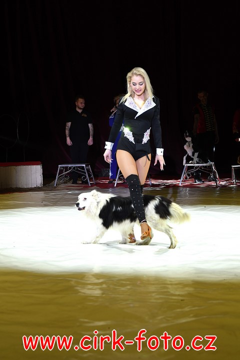 DSC_5710 (Kopírovat)