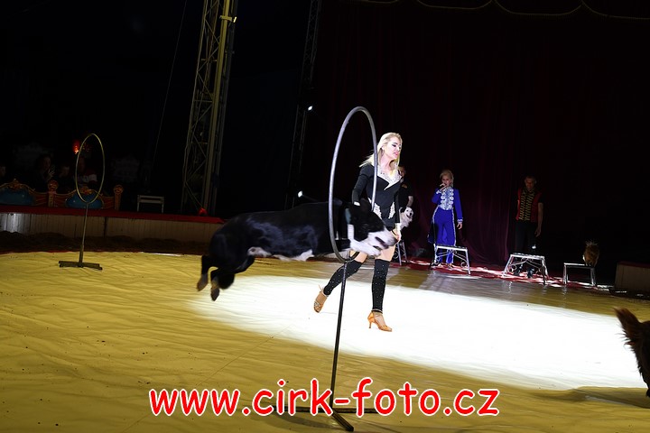 DSC_5719 (Kopírovat)