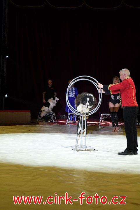 DSC_5722 (Kopírovat)