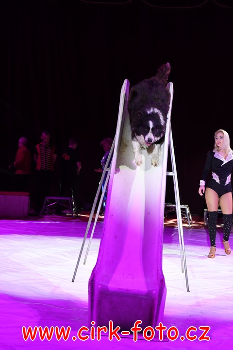 DSC_5724 (Kopírovat)